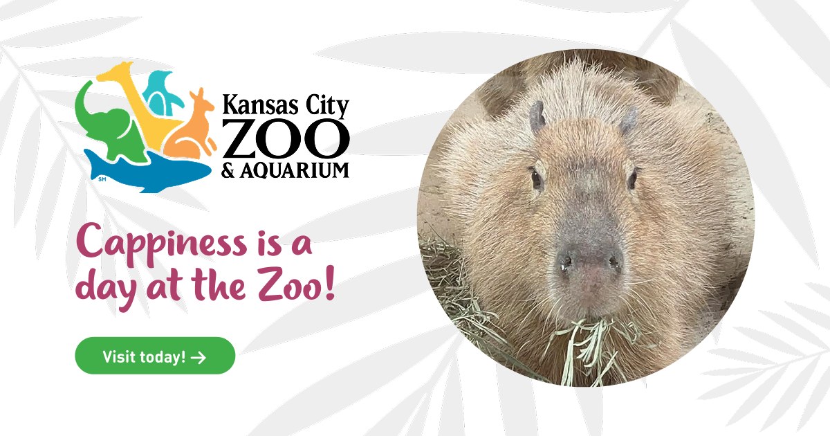 Boo at the Zoo — Kansas City Zoo & Aquarium — Kansas City Zoo & Aquarium · Oct 24-25