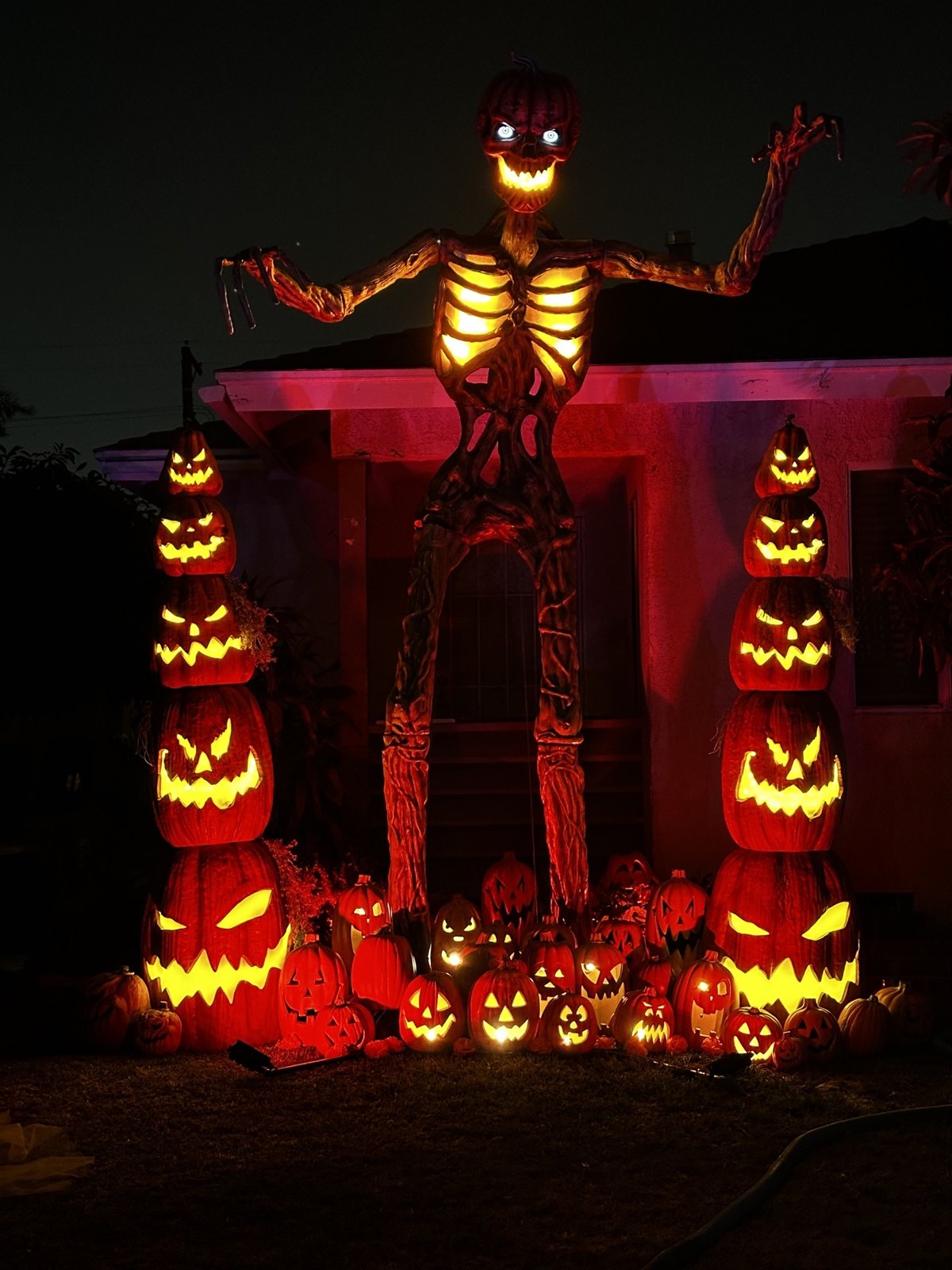 Dia De Lo Muertos