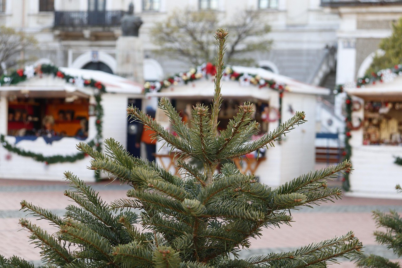 Christmas On Monacy