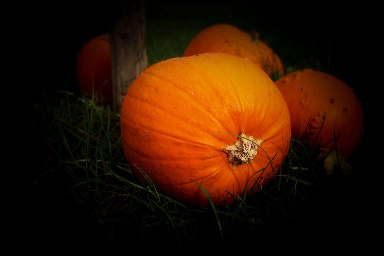 Ghosts of Boston Tour — Nightly in October