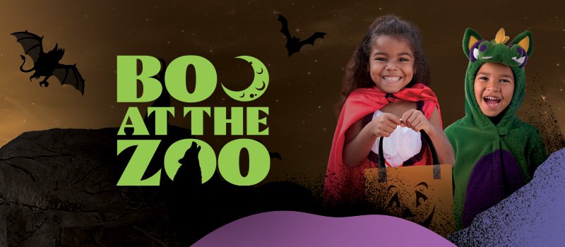 Boo at the Zoo — Denver Zoo · Oct 2-31