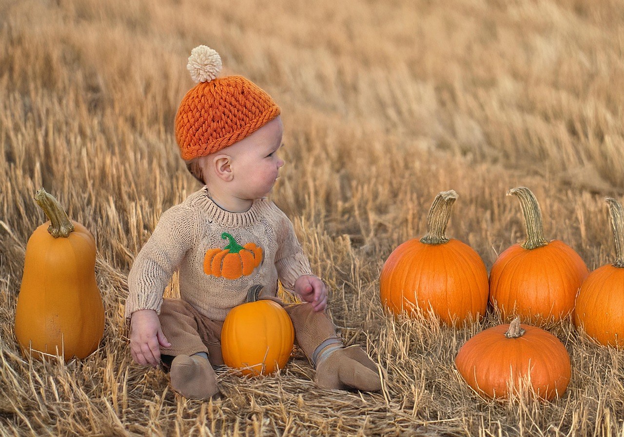 Trombly Gardens — Fall Season