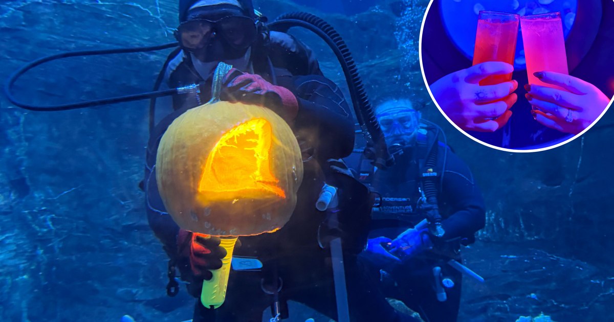 Boo Bash — Adventure Aquarium · Thu Oct 29 · 5:30–9:30pm · 21+ · $44.99
