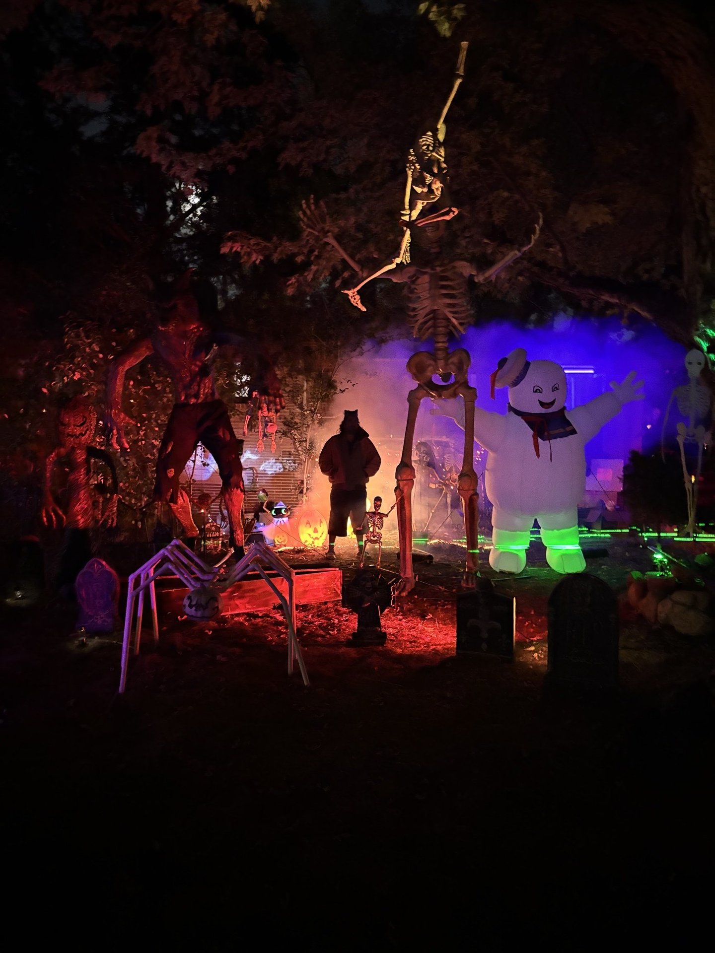 Sandovals Monsterhouse