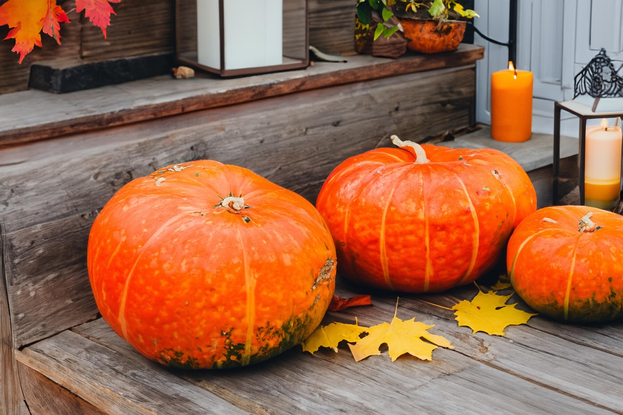 Halloween at Locust Grove Nature Center (Oct 23, 24, 30 & 31, 2026)