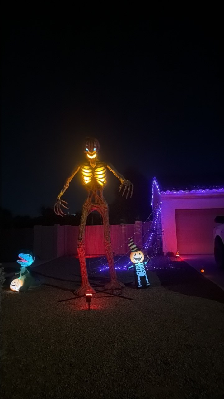 The skeleton house of terror
