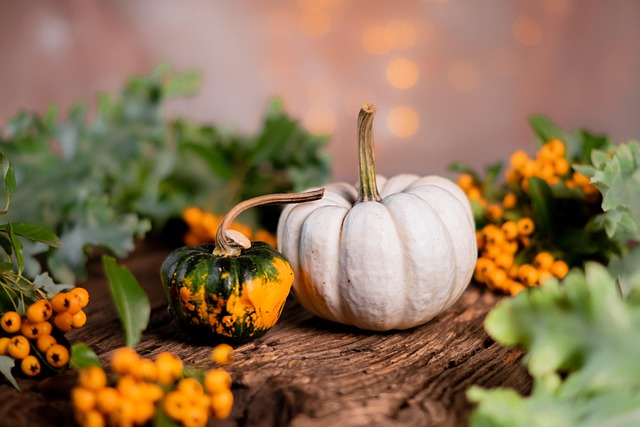 Bethesda Row Trick or Treat (Oct 28 4:30-7pm)