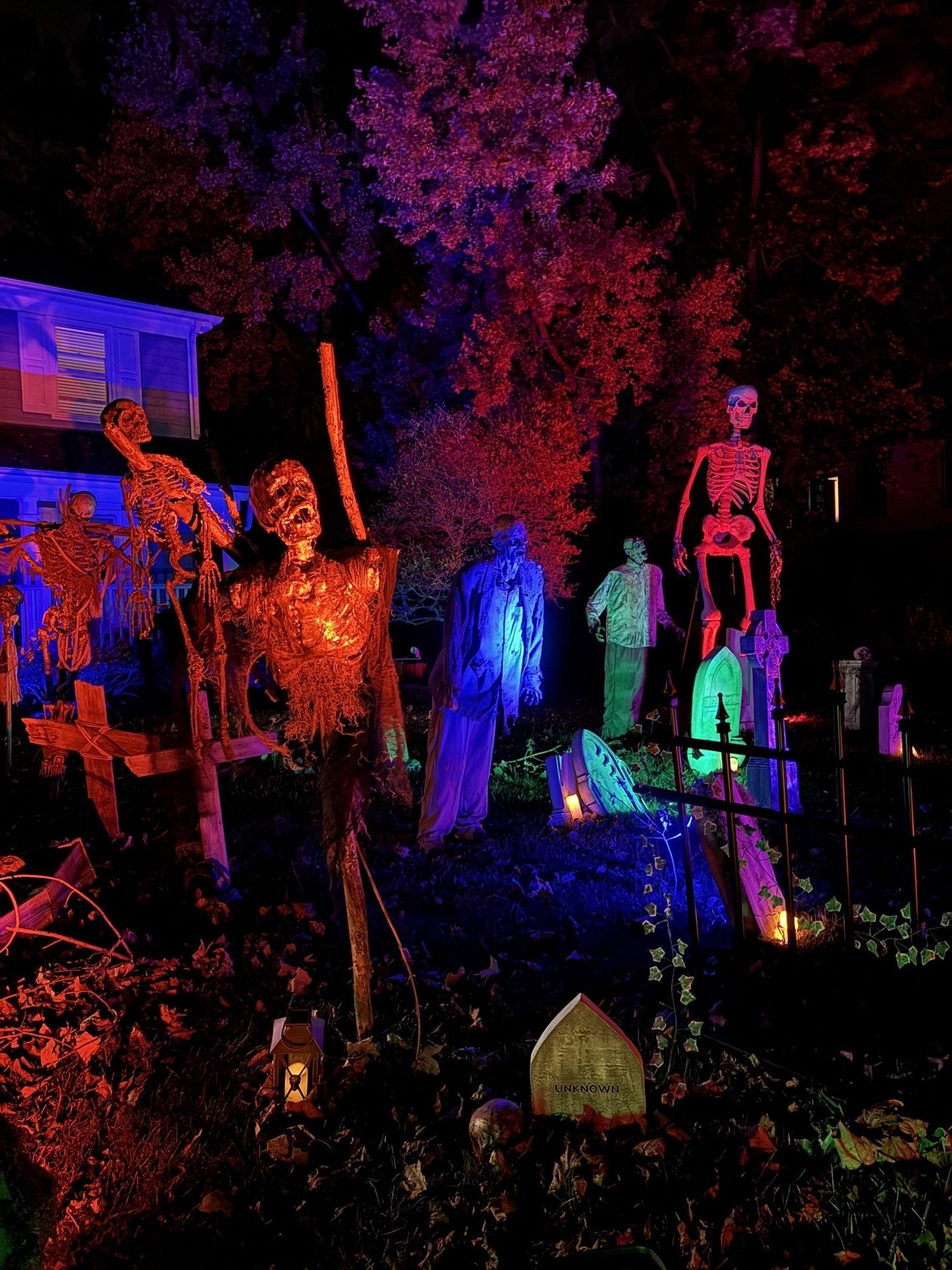 Horror on Holly