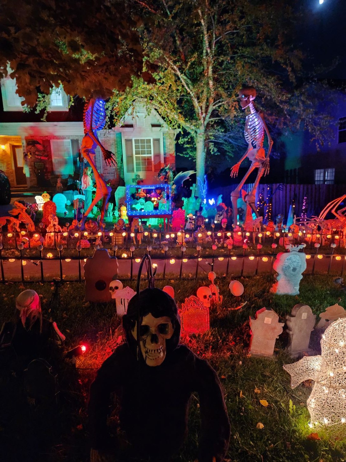 Bone manor