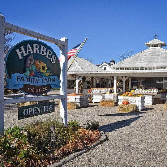 Harbes Orchard Fall Festival — October 1–31, 2026