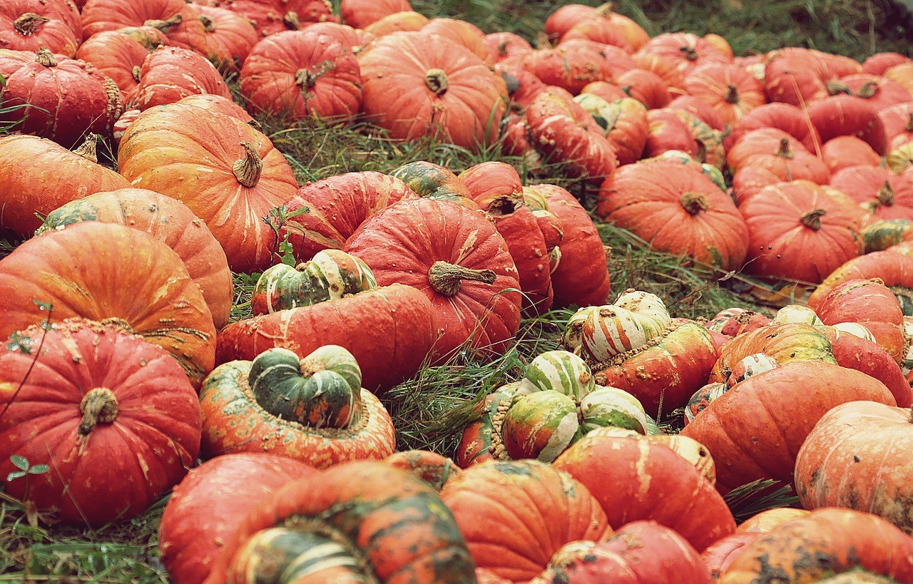 Salem Trolley: Tales & Tombstones — Thu-Sun Evenings in Oct