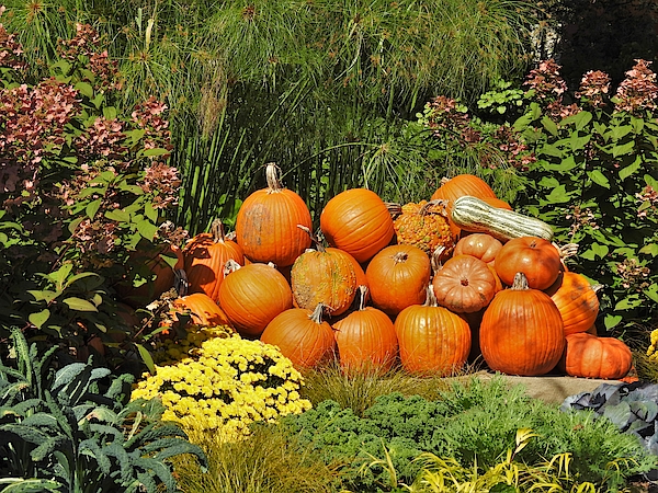 Wave Hill Fall Halloween Programs — October 2026 (Included with admission)