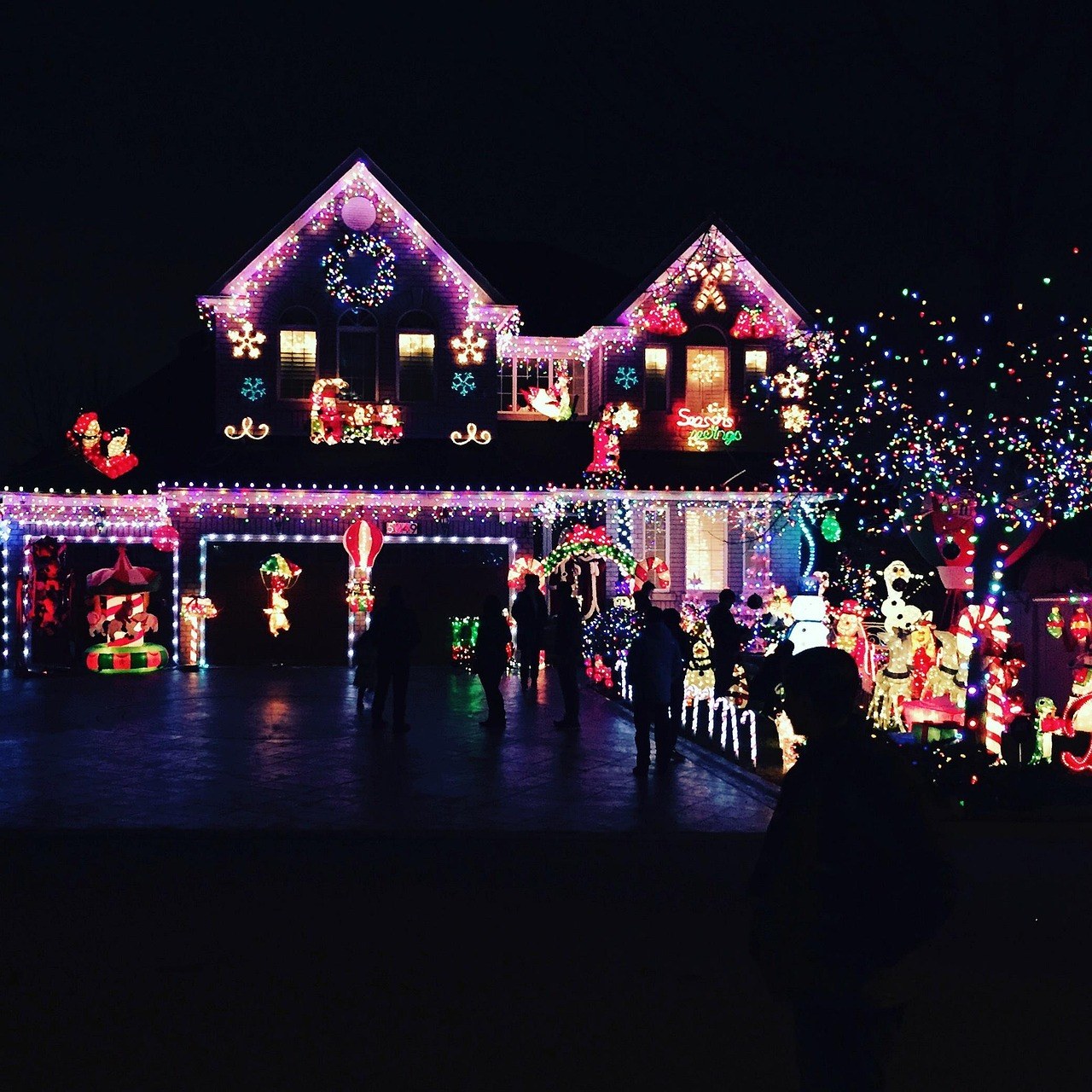 Lelii Holiday Lights