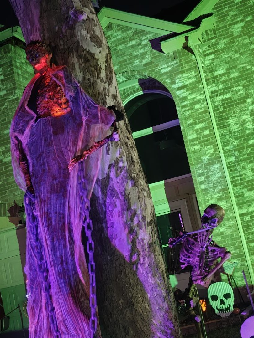 Skeleton Halloween Camp