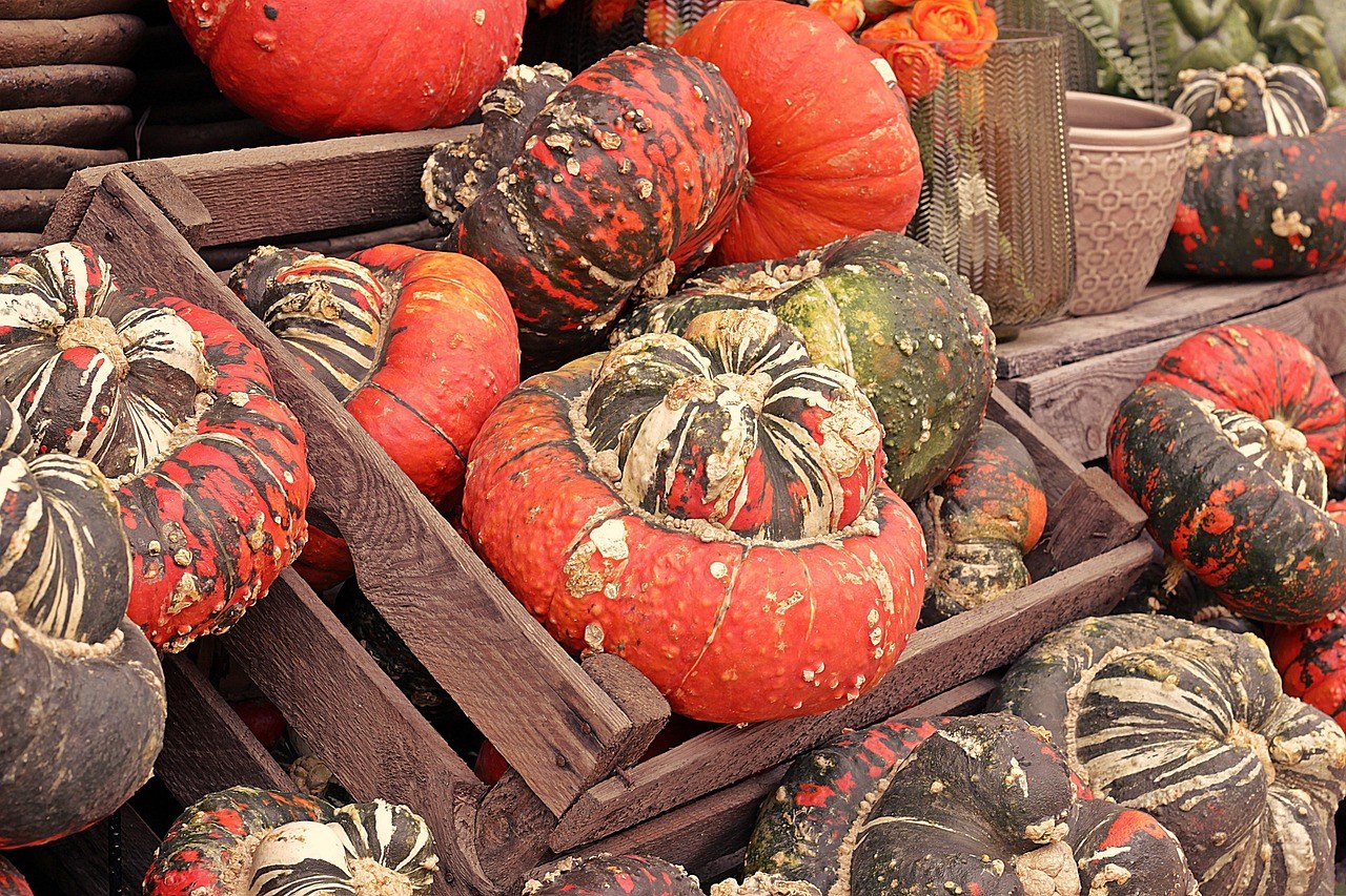Essex Experience