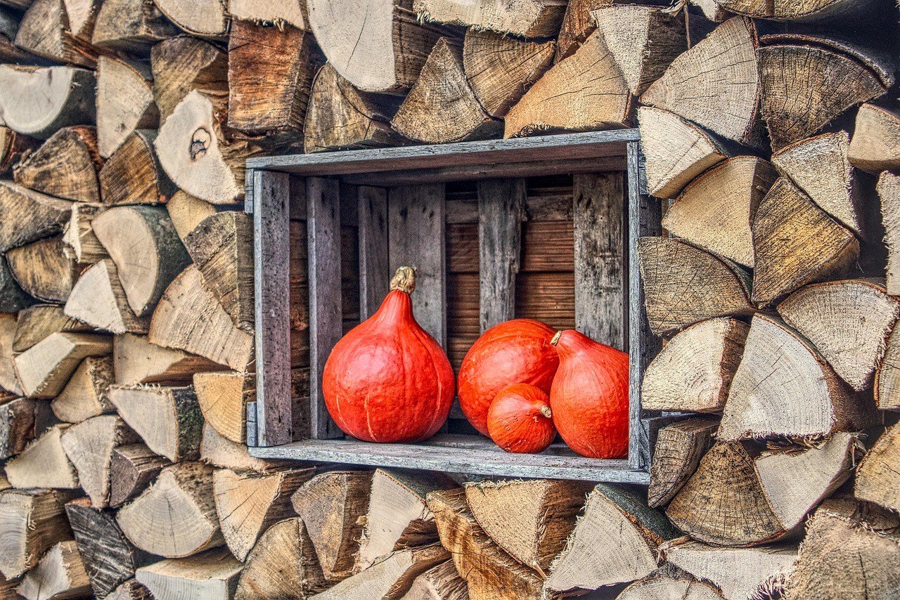 The Great Haws Pumpkin