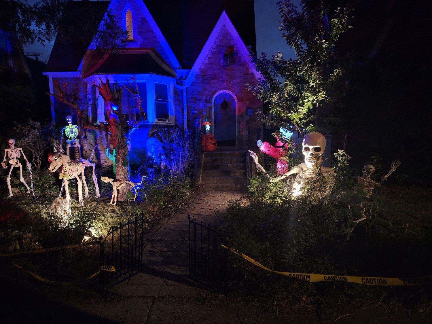 The Bone Yard