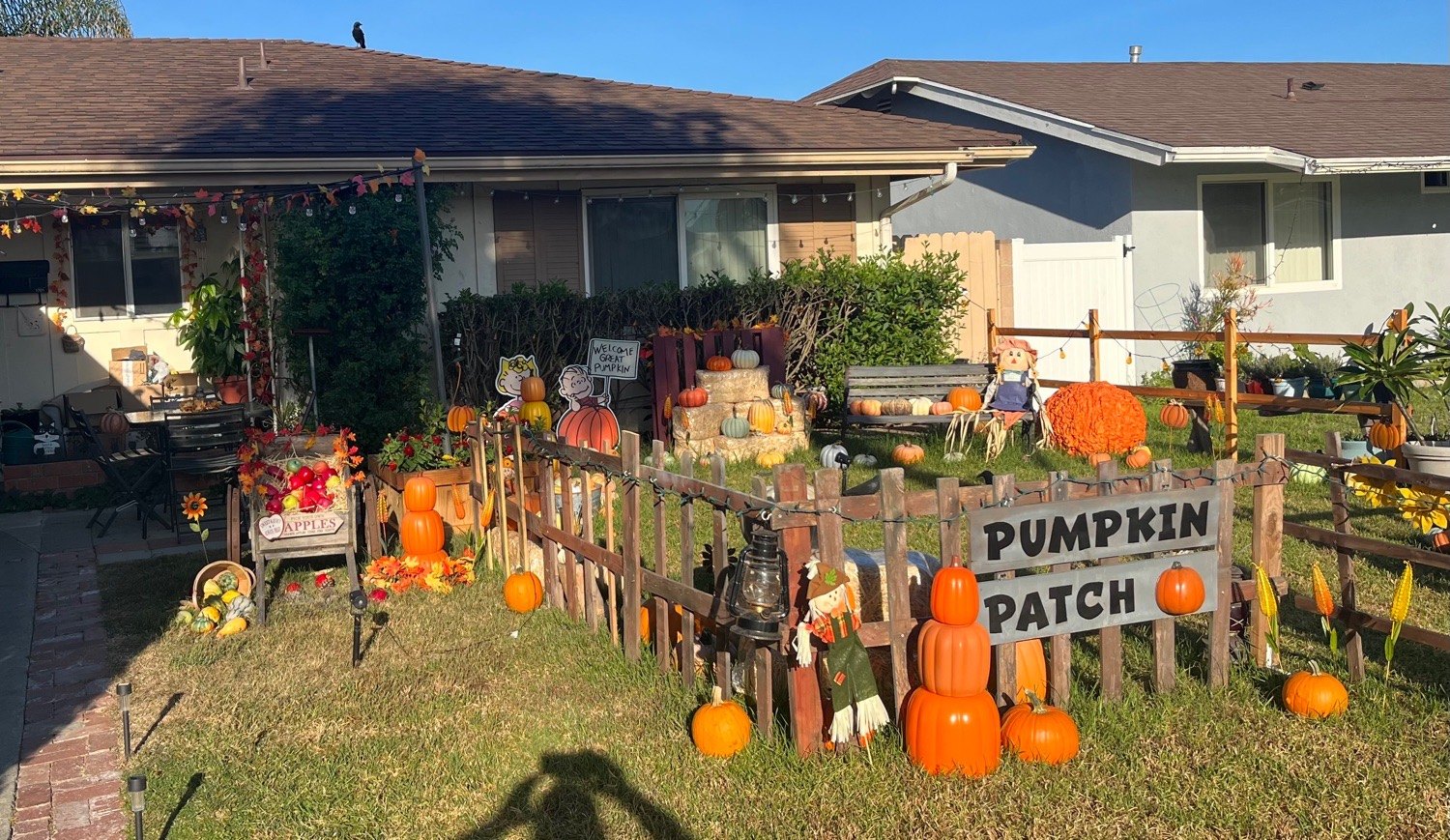 Cabrillo neighborhood pumpkin patch
