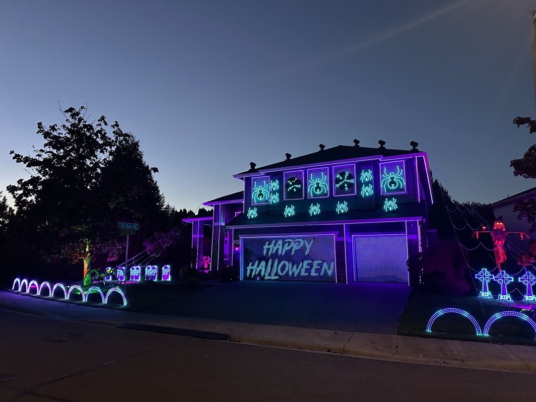 Schandl Family Lights