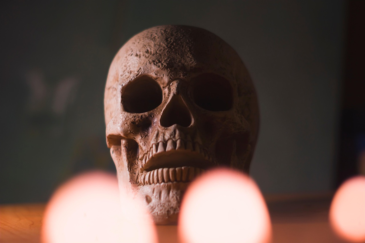 The Great Halloween Lantern Parade & Dia de Los Muertos Festival (Oct 24)