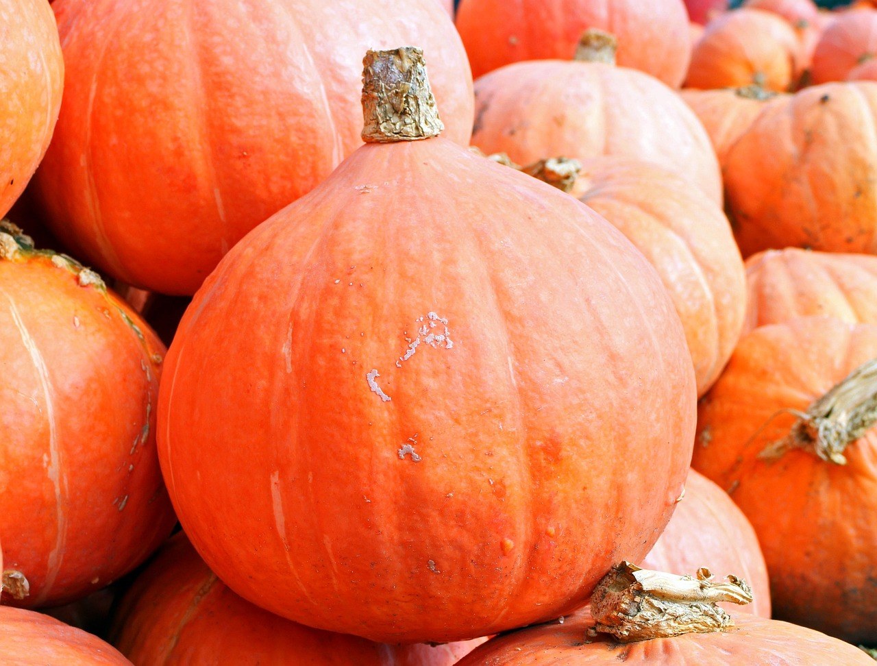 Valley of Fear and The Original Haunted Hayrides