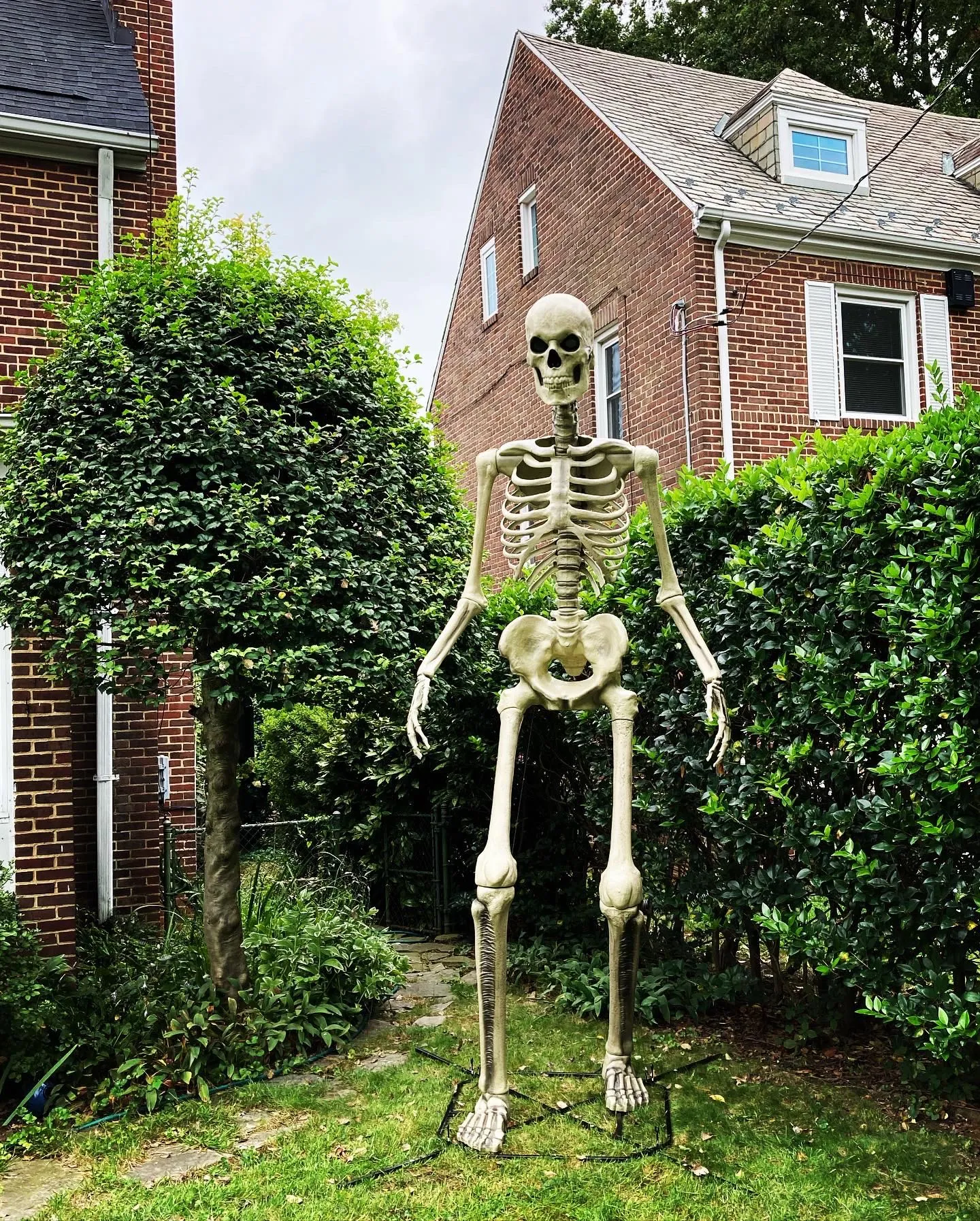 Hawthorne Haunt — 39 Frederick Ave, Hawthorne (kid-friendly)