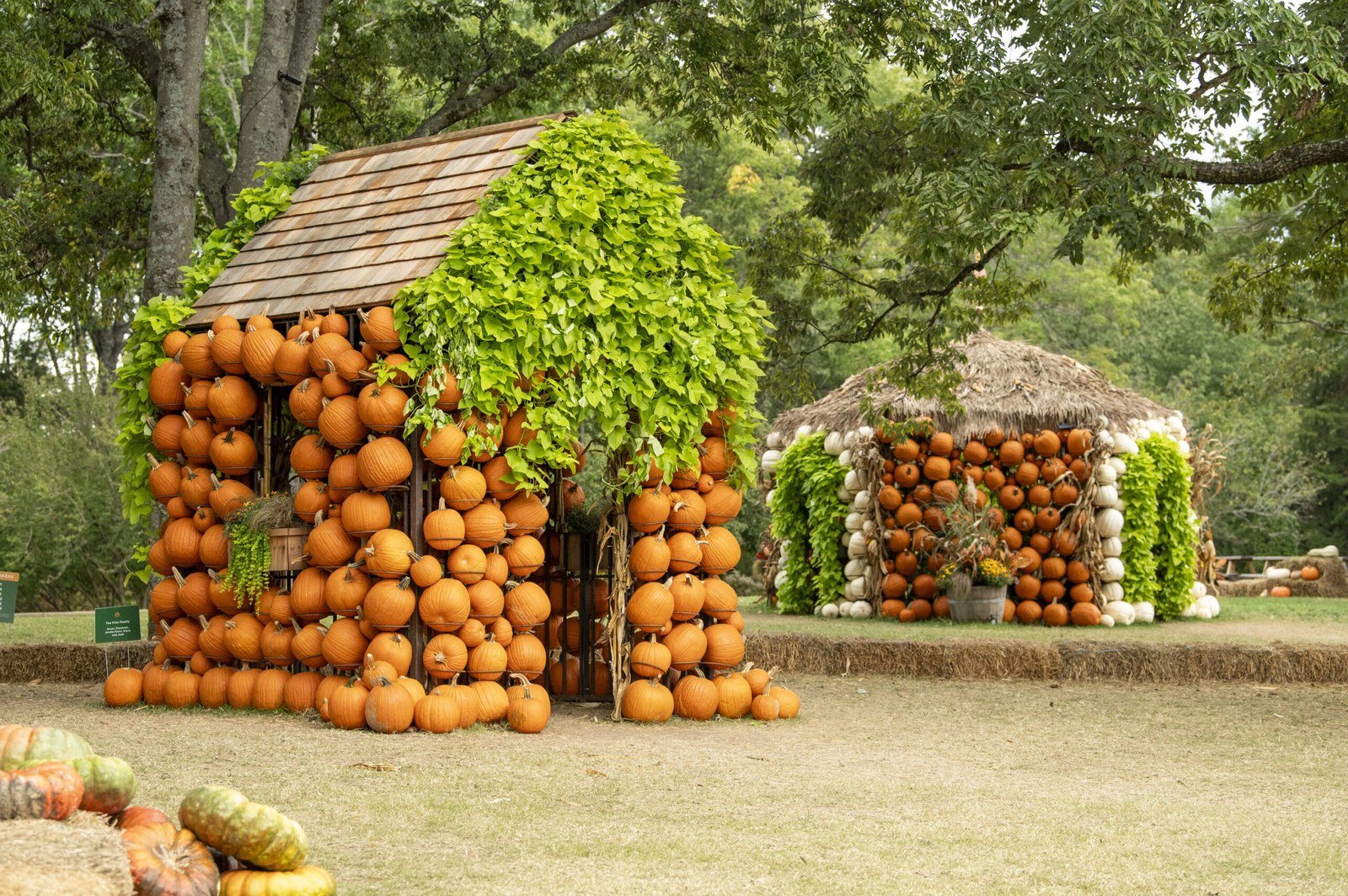 Cheekwood Harvest · Sep 19–Nov 1