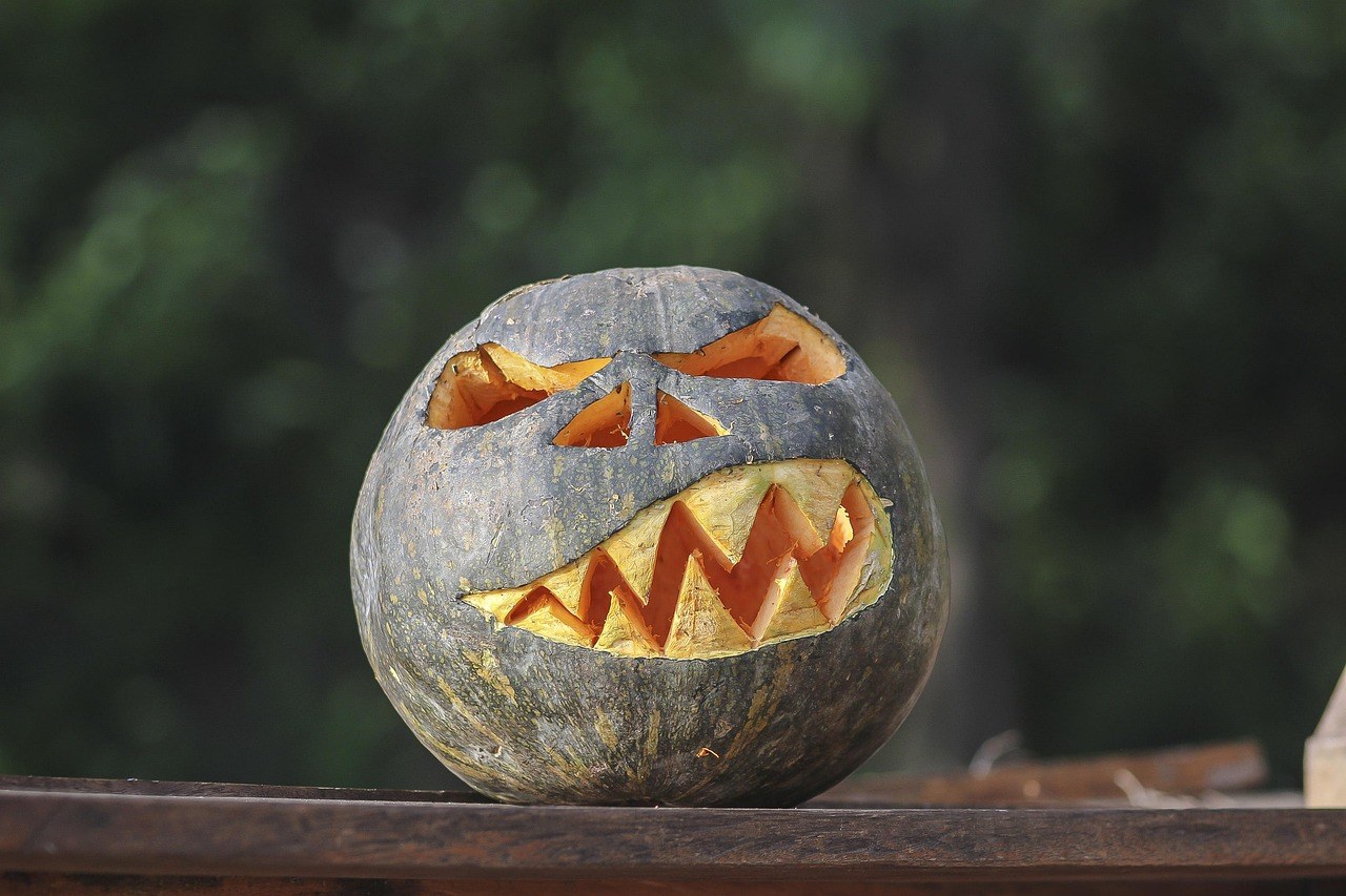 Spooky Fest at The Center for Science, Teaching & Learning