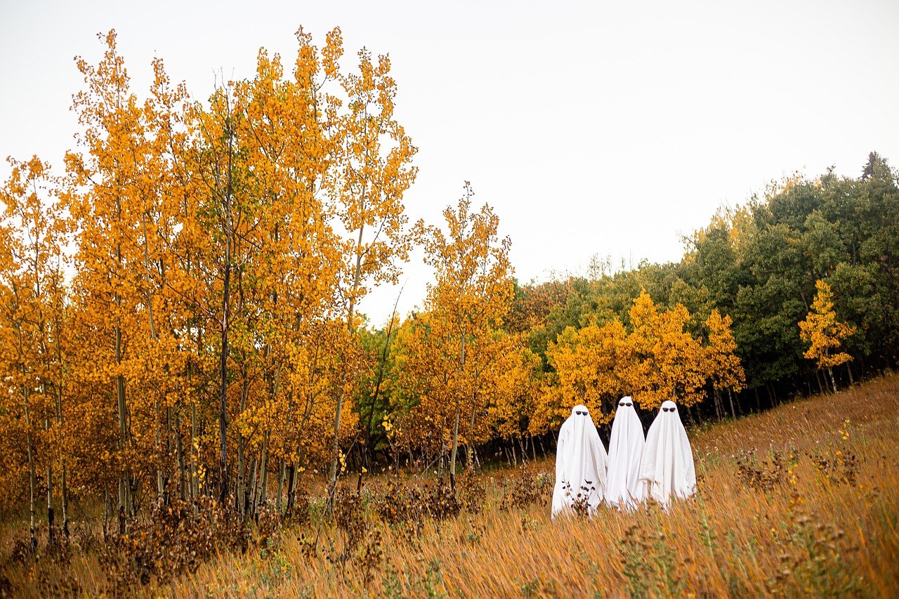 Clark Farms at Bushy Hill Orchards — Fall Season