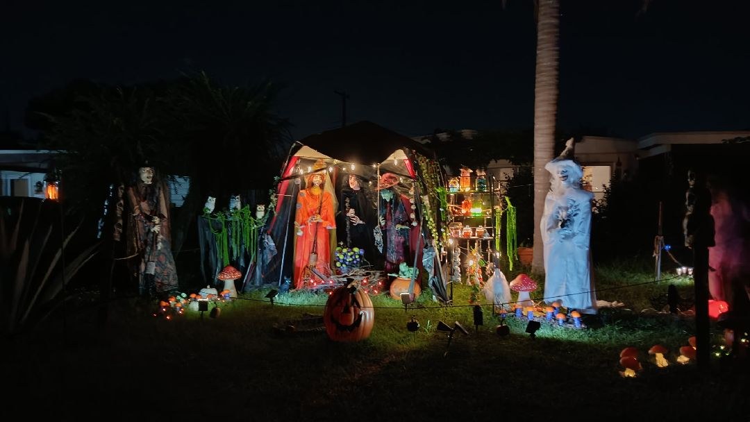 Witches On Groveland Street