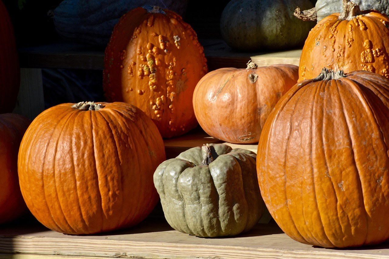 VerHulst Haunted Hayride