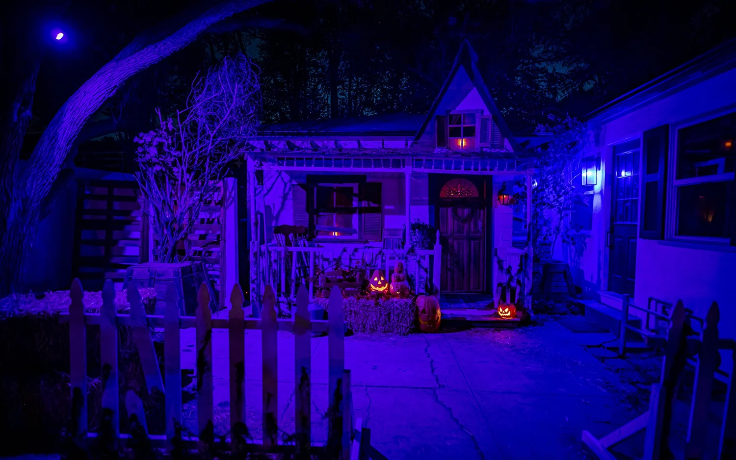Spooky Q Haunt — 308 Spruce Dr, Brick, NJ (Mike and Regan Quilty's elaborate yard setup: graveyard, rot)