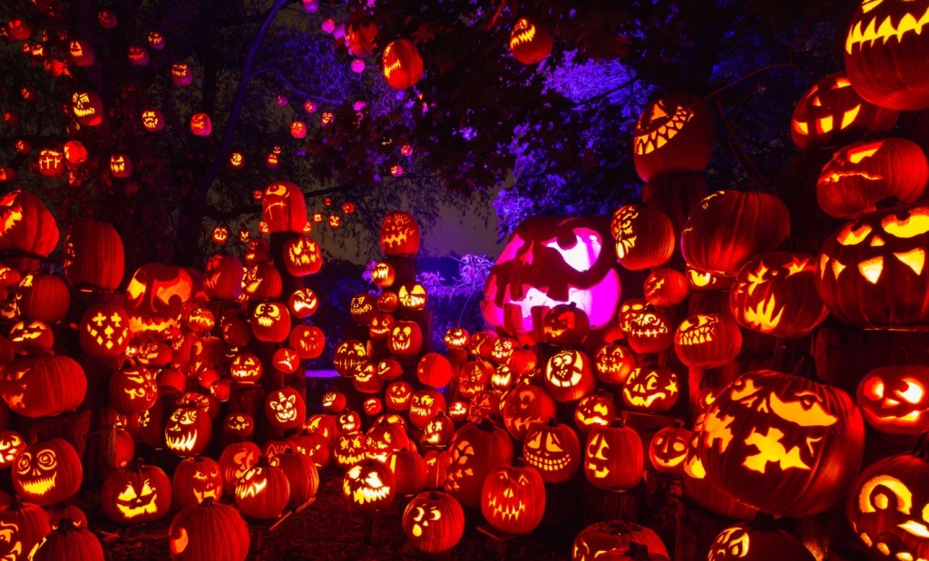 Jack-O-Lantern Spectacular — Roger Williams Park Zoo · Oct 1–Nov 1 · 6–10:30pm · $20–$23