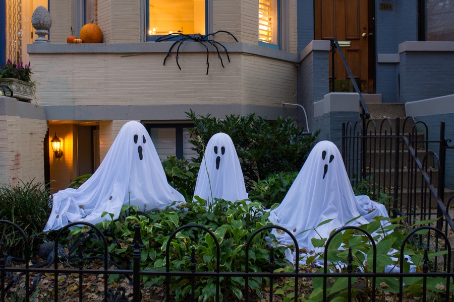 Farina Family Frightmare — 7 Moro Drive, Hamilton