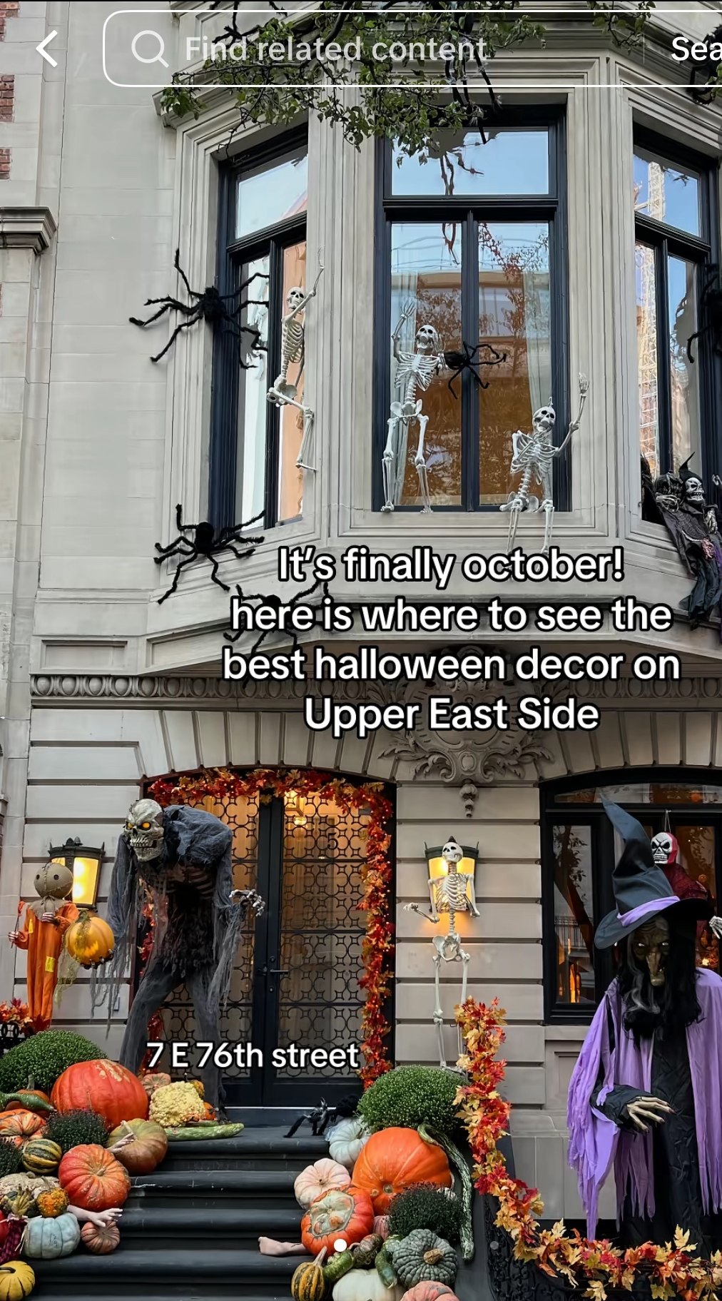 Skeletons in the Windows Stoop