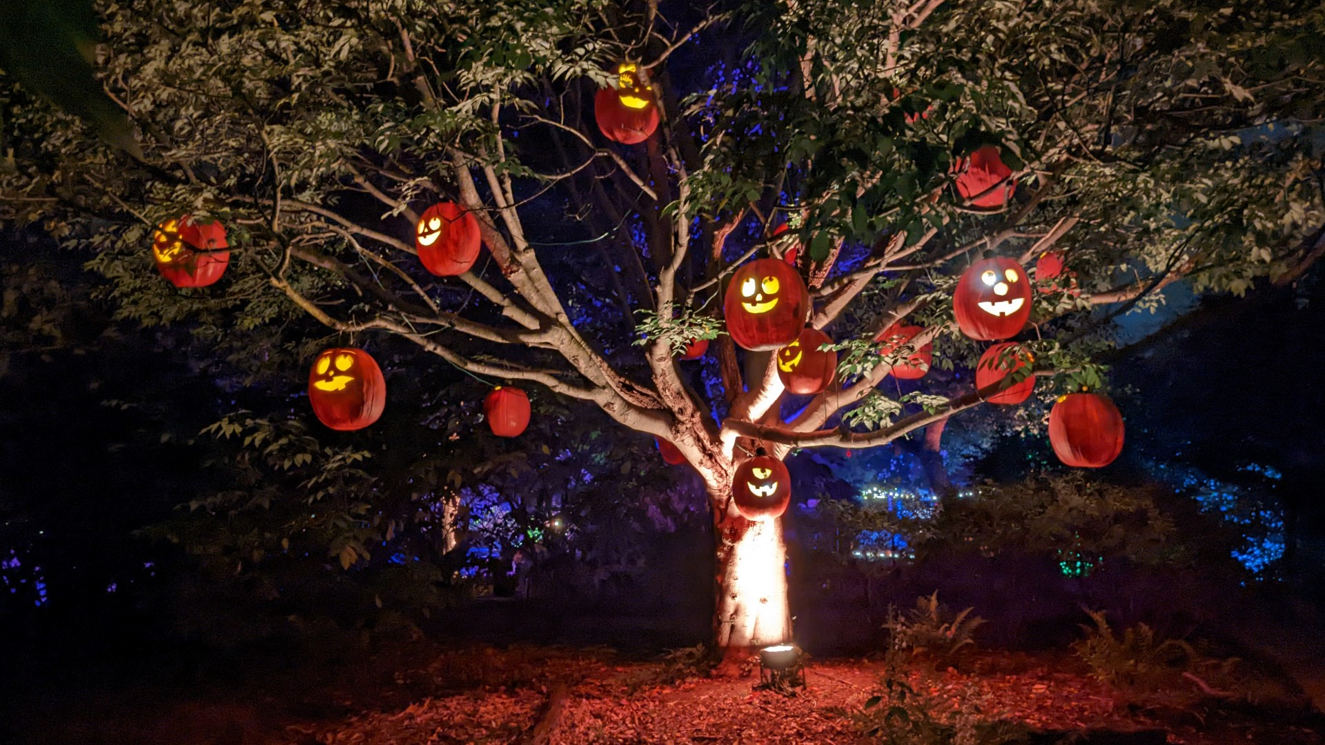 Halloween at Queens Botanical Garden — Oct 31, 2026, 12:00 PM - 5:00 PM
