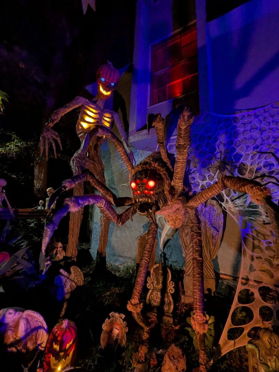 Cats and Bats Haunt