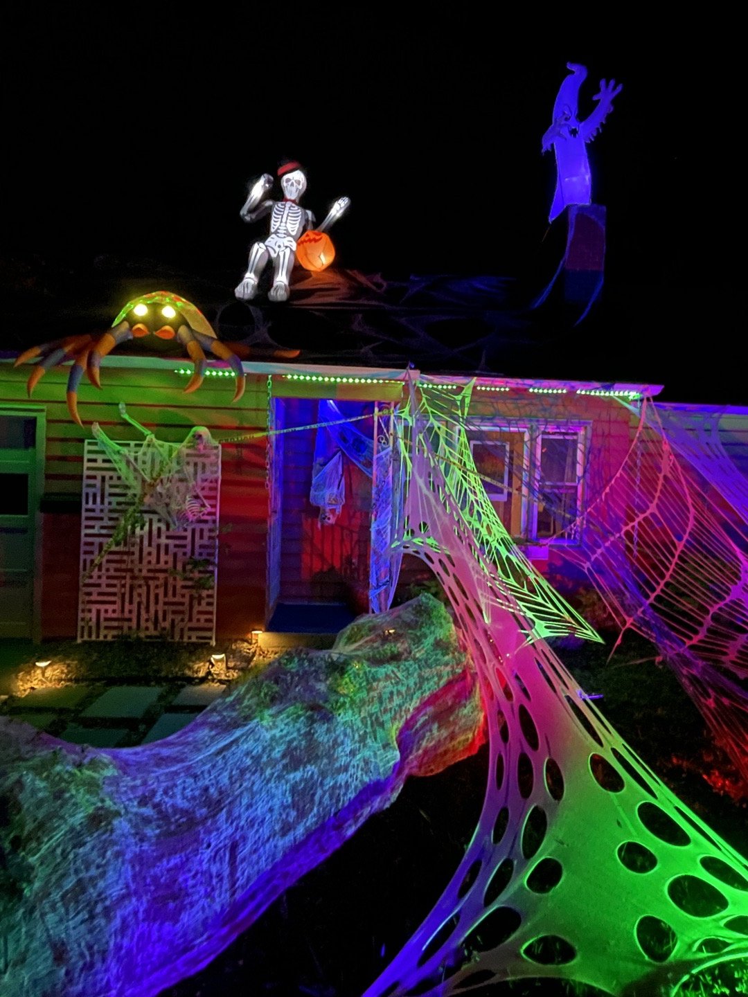 The Neon Web Cottage