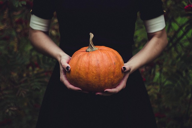 Fall Fest - Parma (Oct 24 12pm)