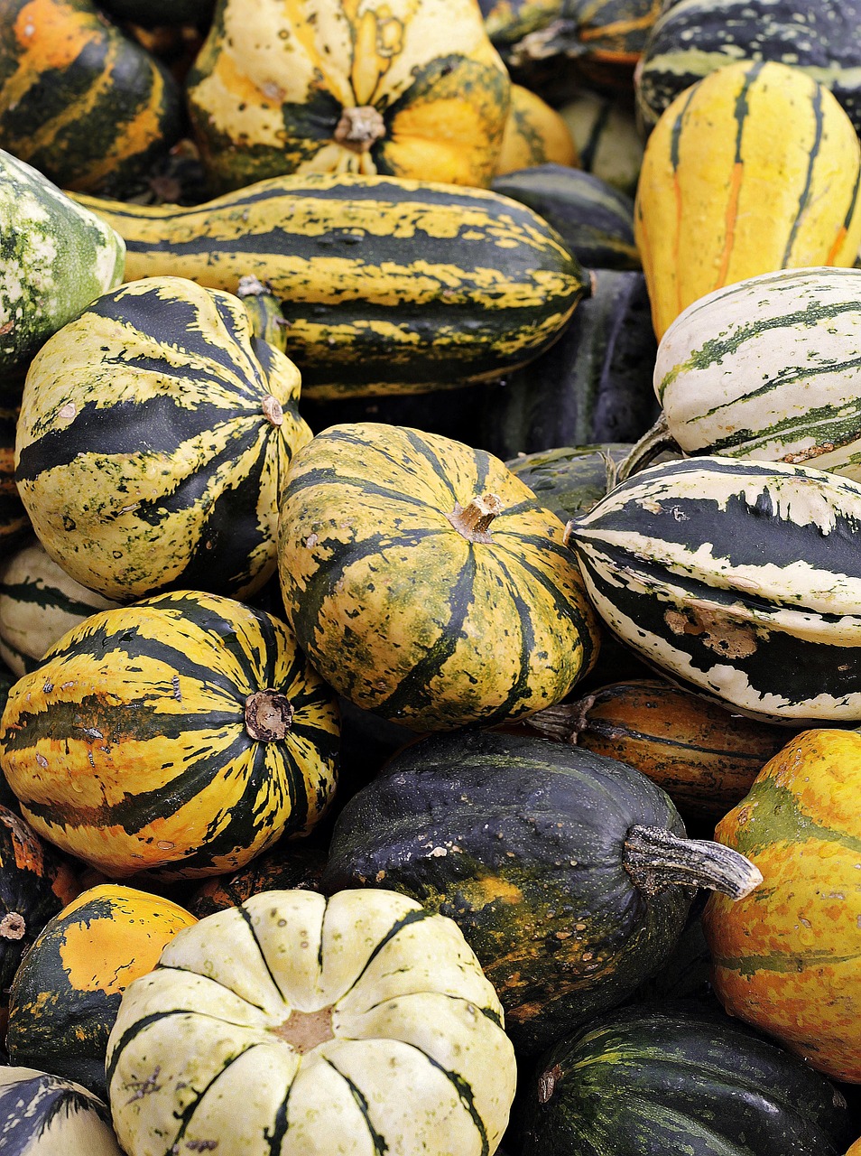 Kid Friendly Halloween Event at Thurber House (Oct 10, 2026, 1:00-4:00pm)
