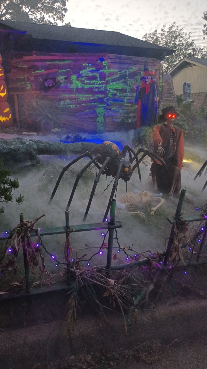 Witch And Voodoo Swamp