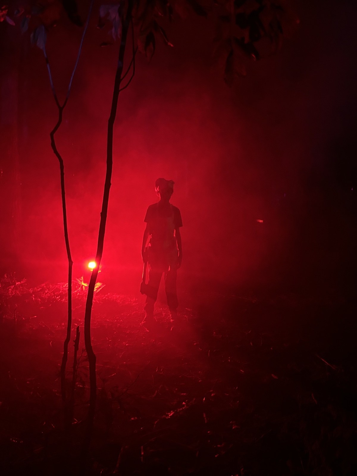 Backwoods Nightmare