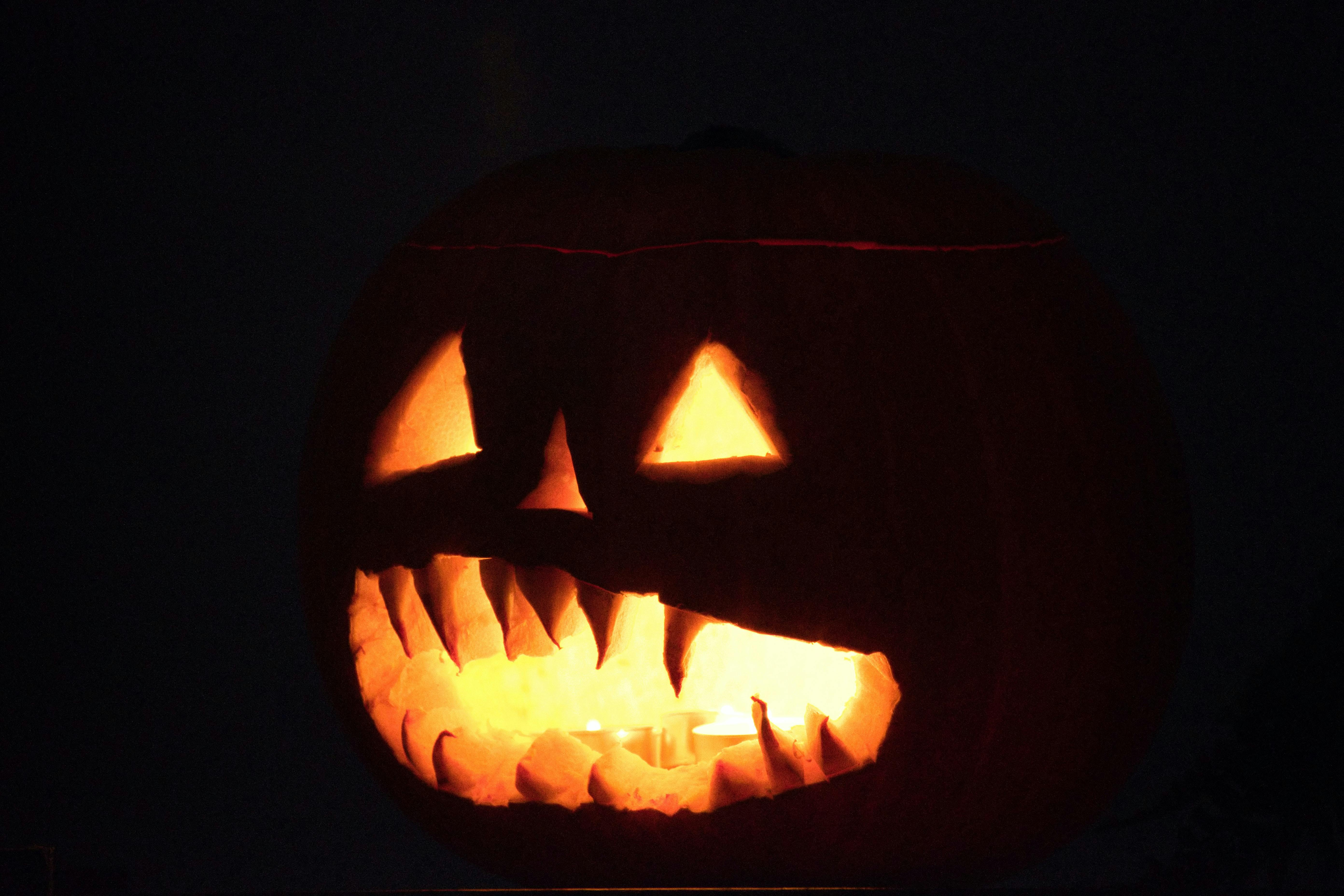 Laconia Inflatable Terror — 177 Laconia Ave, Nightly 5-10:30pm