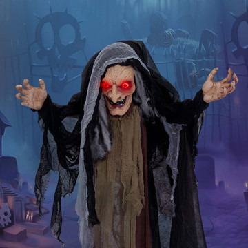 The Scarecrow House — 307 Clymer Ave
