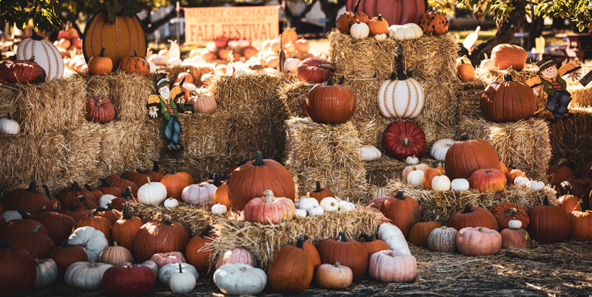 Fall Harvest Festival at Brooklyn Botanic Garden —  11am-5pm (last entry 4:30pm)