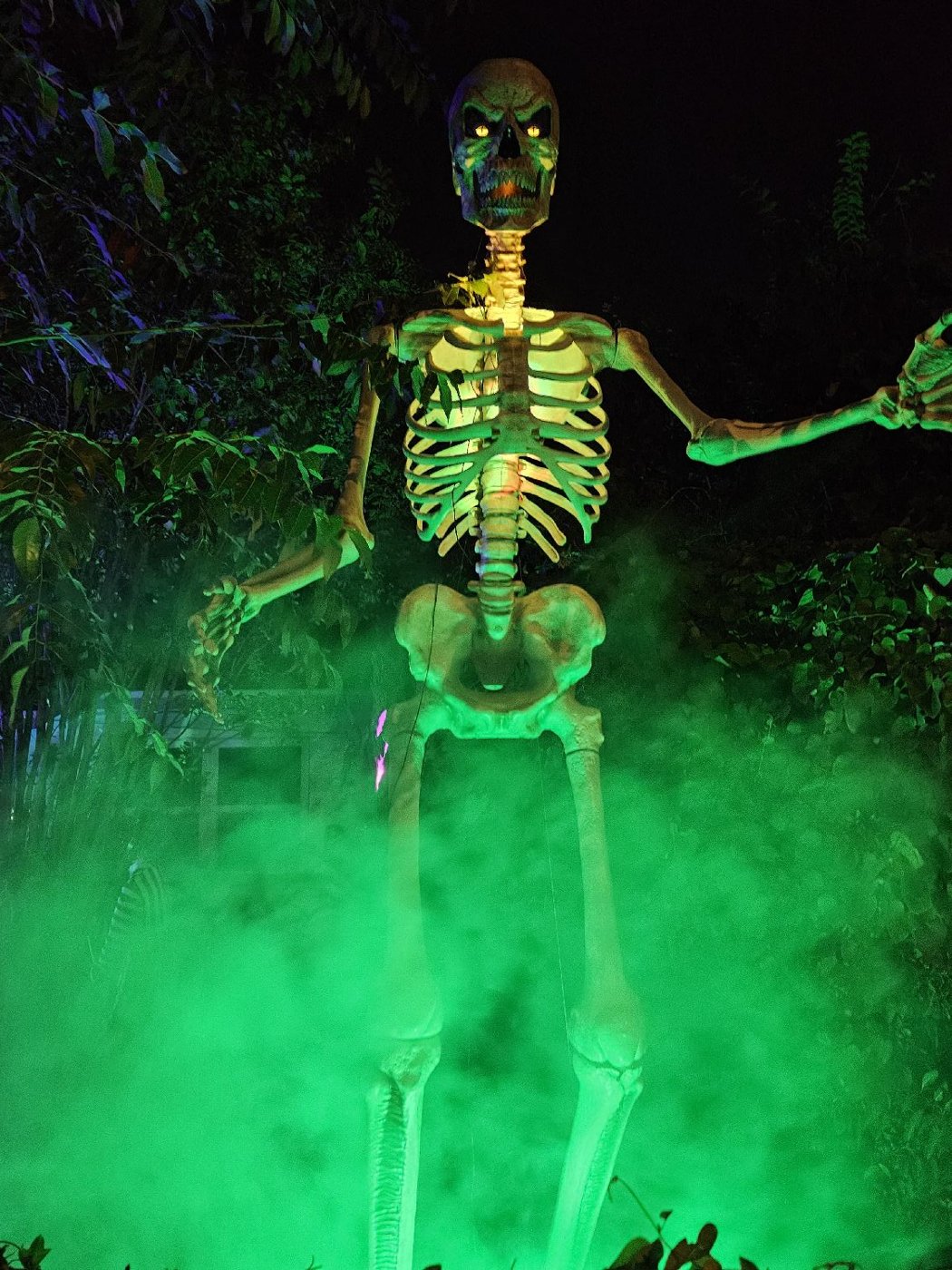 Highland Frights