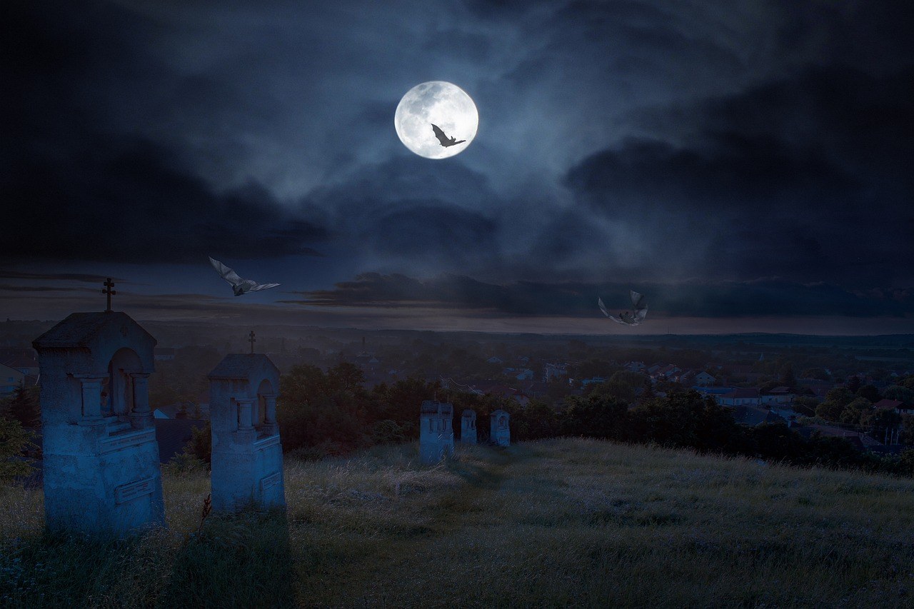 A Nightmare On Jorgensen Ln.