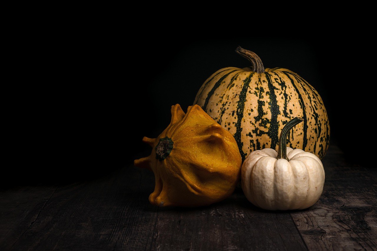 Riverview Farm Haunted Corn Maze