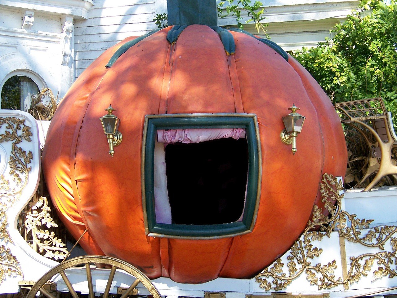 Ekonk Hill Turkey Farm — Fall Season