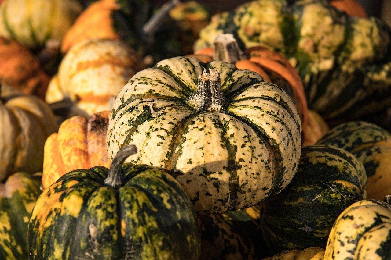 Huizenga Park Halloween Movies on the Lawn — Oct 30